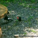 산촌사랑 이미지