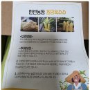 구메체험농장 | 제주 초당옥수수 현선농장, 2026년 사전예약 구매, 언박싱 & 맛보기