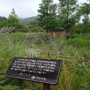 곤명축구장 이미지