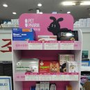 가톨릭보령당약국 이미지