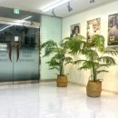 독일 렉스톤 보청기 이미지