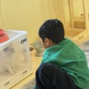 고양이 행복구역 이미지