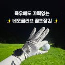 🧤(주)더컴퍼니 네오글러브 골프장갑 리뷰⛳