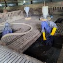 주용농장 이미지