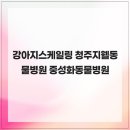 청주지웰동물병원 네이버블로그