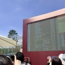 갤러리골프 | [더 시에나 오픈 2026] 골프 갤러리 관람 후기, 인상적이었던 고지원 프로 박성현 프로 티샷 구경하기