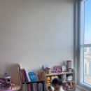 레인보우 세이펜 내돈내산 후기｜효과음이 살아있는 책 읽어주는 오디오펜
