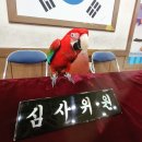 해동검도 장전본관 | 오늘은 부산시협회 입.승단 심사에 우리도장 마스코트 맥쓰 데리고 다녀왔어요~^^