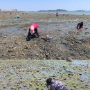 260505~6 충남 보령 삽시도 2 이미지