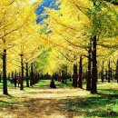 풍경힐링 이미지