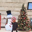 경산시립예술단 연합공연 이미지