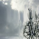 하늘봄사진관 이미지