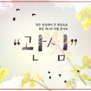 프로보노브릿지 이미지