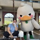 [5월 4주-6월 1주차]