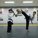 YK태권도장 네이버블로그