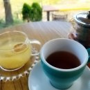 강브레드 이미지