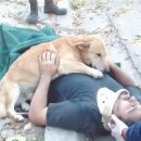 (주)견공 이미지