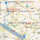 책향기교차로(1) 이미지