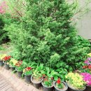 마전동행정복지센터(2) 이미지