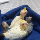 하선농장 이미지