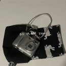 디지털 카메라(DSLR) 완전 정복하기 | 니콘 쿨픽스 E4100 후기