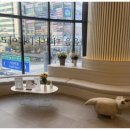 헤아린정형외과의원 이미지