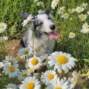 본마을2길 9 이미지