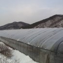 산림축산