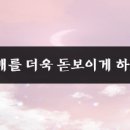 J속눈썹 - 김해시 | J속눈썹