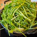 등촌샤브칼국수(퇴계원점) 이미지