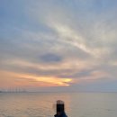 석구미펜션 | [전남 영광군]영광 가볼만한곳(불갑사, 카페비꽃, 백제불교최초도래지, 백암해안전망대, 백수해안도로...