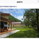 백송태양광 | 국립금산자연휴양림 예약 2025 – 개장 일정부터 객실 후기까지 총정리