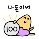 레비스퀴17