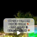 프티트자르뎅 이미지