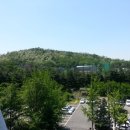 시영농장2 이미지