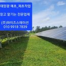 넝쿨 태양광발전소 이미지