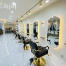 베르헤어 - 안양시 동안구 | 베르헤어