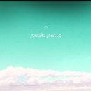 비디피트 이미지