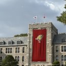 고려회관 | 고려대학교 교우회관 웨딩홀(계약O) 리뉴얼 후 투어 후기