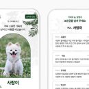 포레스트 이미지