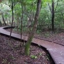 서귀포자연휴양림 이미지