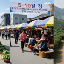 일로5일시장(1) 이미지