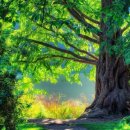 초록풍경 이미지