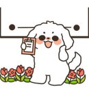 대박황칠코리아 고깃집 이미지