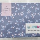 라임약국 이미지