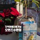 오렌즈 수완점 이미지