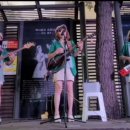 도화갈매기 이미지