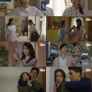 비타민별별 스포츠경향