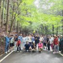 대마도 2일차 (오션뷰 일출, 에보시다케 전망대, 후나시 삼림공원 단풍길) 250914 이미지