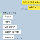 라이트지알(주) | 동물의숲 4일째 하는 사람의 일기 애플이 이사옴!!